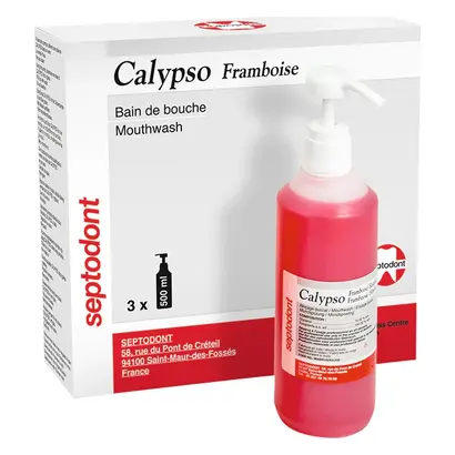 Packung 3 x 500 ml Himbeere, 1 Dosierpumpe