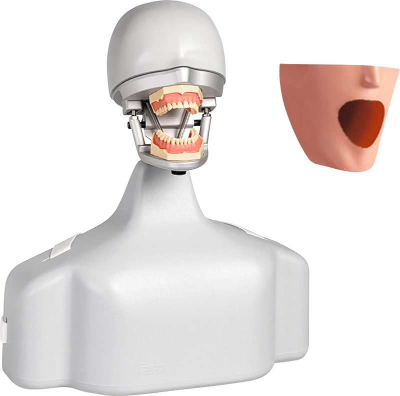 Stück Dental-Übungsgerät Stück Dental-Übungsgerät