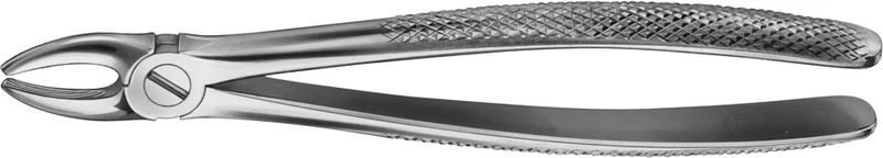 Stück DG005R, für obere Schneide und Eckzähne Stück DG005R, für obere Schneide und Eckzähne