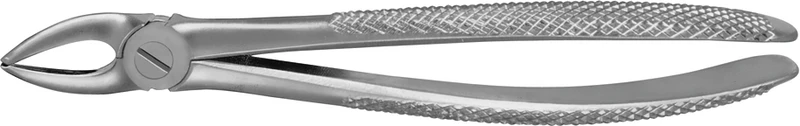 Stück DG101R, für obere Prämolaren Stück DG101R, für obere Prämolaren