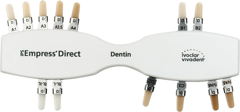 Stück dentin