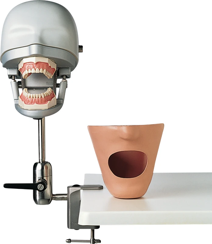 Stück Dental-Übungsgerät Stück Dental-Übungsgerät