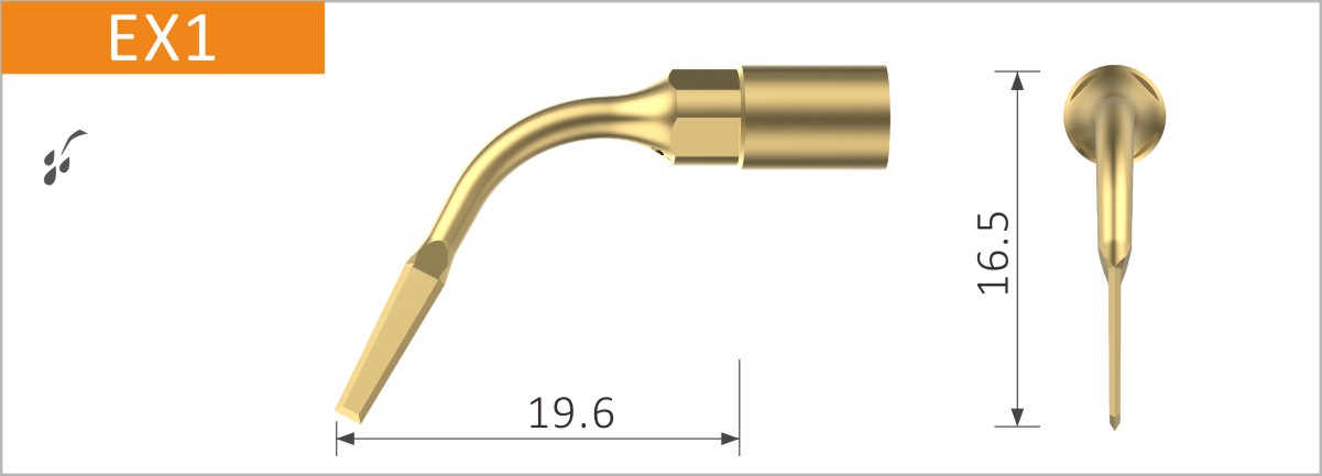  Stück, EX1 Extraktionsskalpell. Wurzelosteoplastik zum Abschneiden der Ankylose, Wurzelfraktionstechniken. 