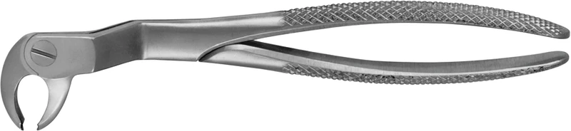 50935 - Anatomica-Zahnzangen nach Routurier - Stück DG542R, rechts