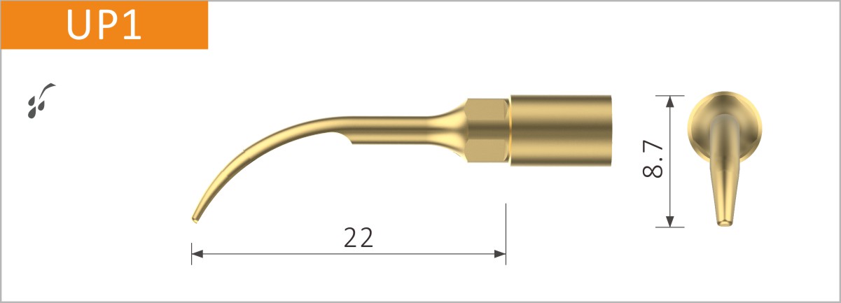  Stück, UP1 Sanftes Scaling. Wurzelscaling. 